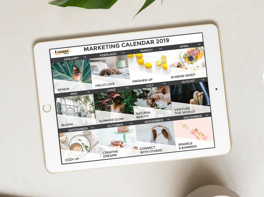 This is a Marketing Calendar Template to organize all your promotions for the year for your subscription box. Organize your team and get vendors excited to work with your start-up. 